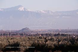 Image du Maroc Professionnelle de  La ville de Marrakech fut entouré par des fermes aux jardins de fruits où les grandes familles passaient du beau temps durant leurs Nzaha (une sorte de pique nique locale), Lundi 19 Août 1997. Au fond le haut Atlas enneigé. (Photo / Abdeljalil Bounhar) 